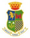 golf torino logo