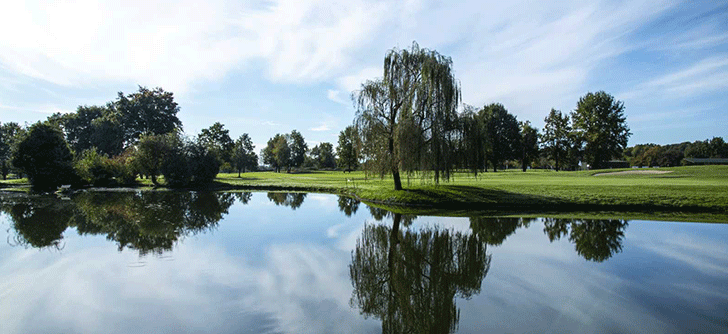 Royal park roveri Royal park roveri