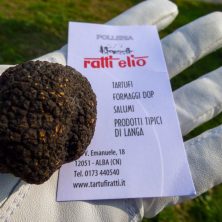 2021 10 28 Citta di Asti 27