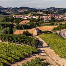 vini botto paesaggio