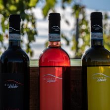 vini botto etichette
