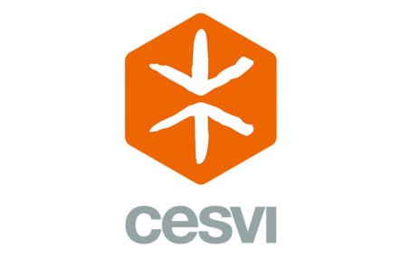 Cesvi