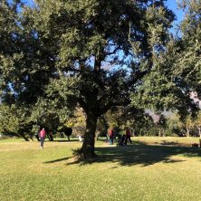 2024 12 12 HDGolf Arenzano 018